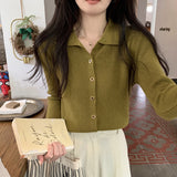 KANING Temperament Polo Collar With The Bottom Of The Knitted Women's 2026 Autumn And Winter New Design Sense Sweater