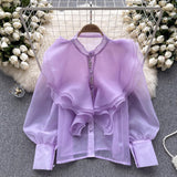 Autumn New Light Luxury Fairy Wind Lotus Leaf Side Long-Sleeved Shirt Female Mesh Design High-End Temperament Blouse