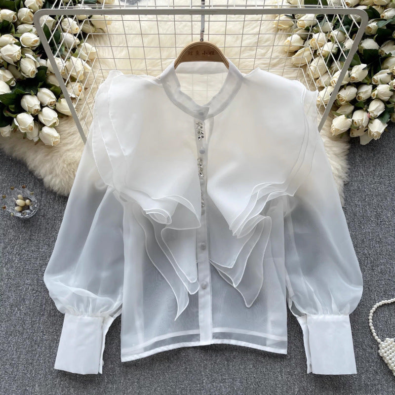 Autumn New Light Luxury Fairy Wind Lotus Leaf Side Long-Sleeved Shirt Female Mesh Design High-End Temperament Blouse