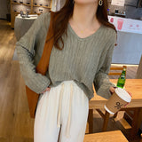 2026 Knitted Women's Thin Bottom Shirt With Loose Gas Sweater Long-Sleeved Top New Design Sense